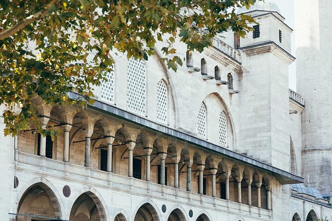 1 Istanbul Tour: Highlights, Street Food & Hidden Pearls - Hagia Sophia Grand Mosque: the main draw and where time savings matter