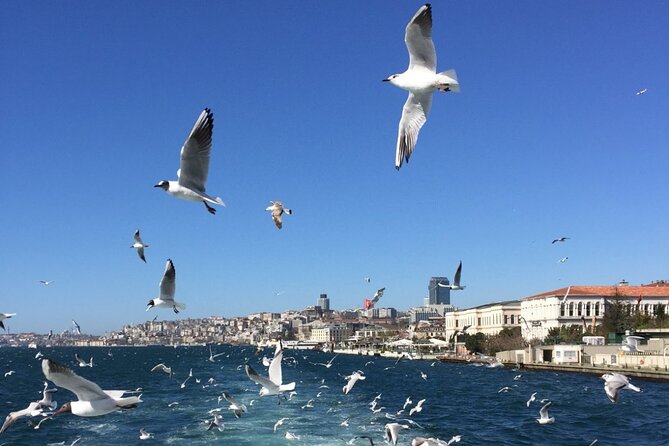 2-Hour Private Luxury Yacht Cruise on Bosphorus with Transfers - When This Cruise Is the Right Choice