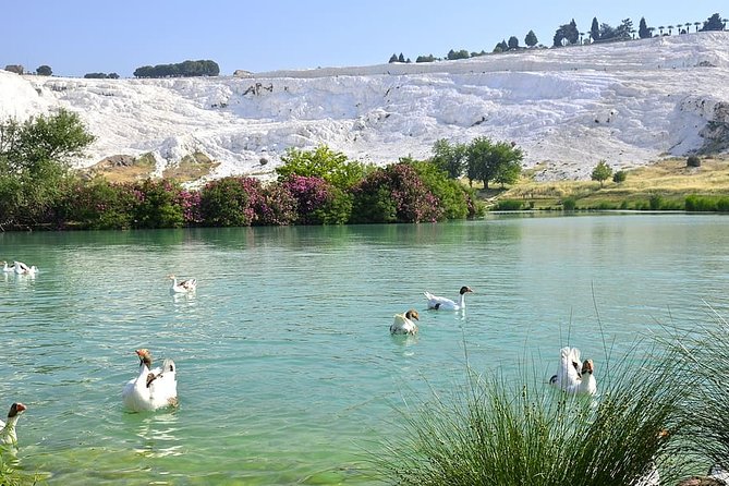 4 Days Turkey Tour - Cappadocia, Ephesus and Pamukkale Tour - Day 4 Ephesus, Artemis, and Sirince: Ancient City to Old Greek Village