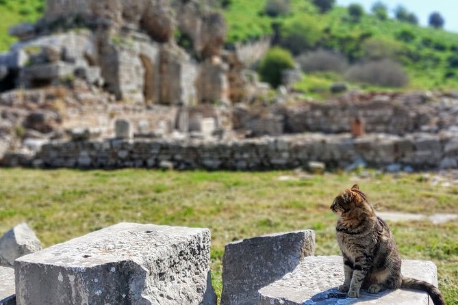All Inclusive Private Ephesus Day Trip from Istanbul by Plane - Izmir Airport Meet-Up and the Drive to Ephesus