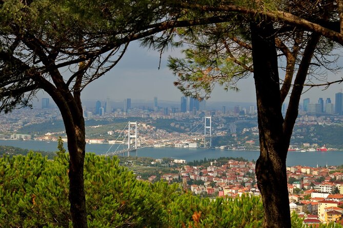 Asian Side of Istanbul Tour - Half-Day Small Group Tour - Bagdat Street: From Silk Road Roots to Modern Café Culture