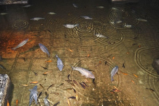 Basilica Cistern Skip the Line Ticket - Stop inside Basilica Cistern: what you’ll actually see