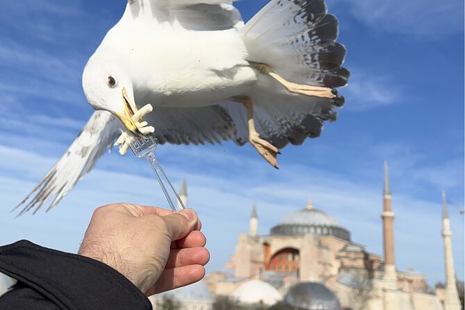 Best of Istanbul City Full-Day Tour with Transfers - Pickup and drop-off: the real Istanbul time saver