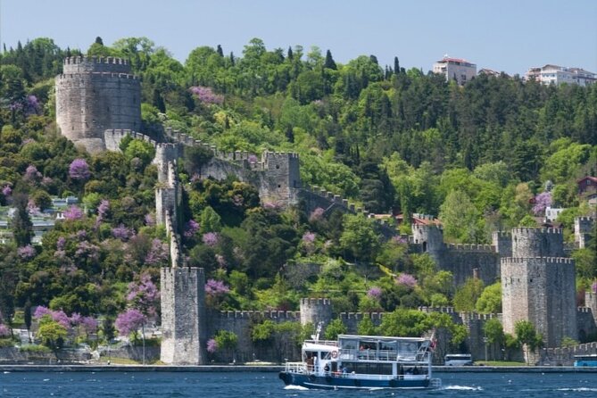 Best of Istanbul with Bosphorus Cruise - Morning setup: pickup, minivan comfort, and a real group size