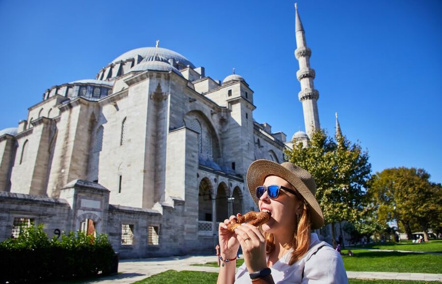 Blue Mosque: Art and Symbolism Guided Group Walking Tour - The tile flowers: symbolism you can spot in minutes