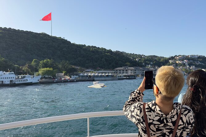 Bosphorus Daytime or Sunset Sightseeing Cruise & Audio Guide - Bosphorus Bridge and the “main channel” stretch for skyline views