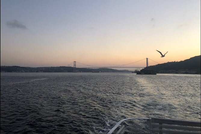 Bosphorus Explorer: 3-Hour Cruise with Asian Side Visit - Under the Bosphorus Bridge, Europe and Asia in One Breath