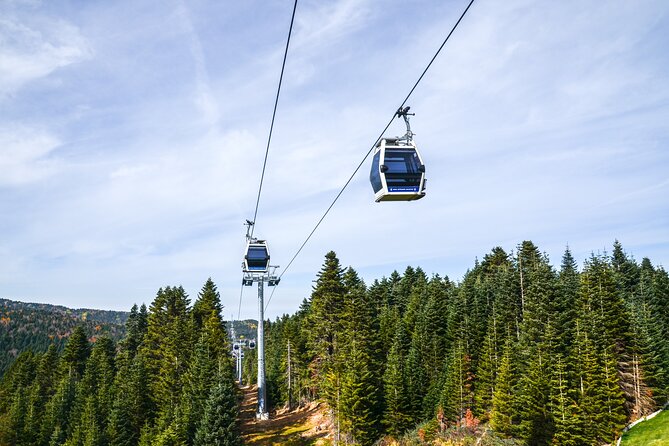 Bursa And Uludağ Tour From İstanbul Included Lunch & Cable Car - Uludağ National Park time: plane tree photos, lunch, then free exploring