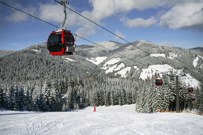 Bursa City and Uludag Mountain Day Trip with Pick up & Cable Car - Uludag National Park: factories, honey, the plane tree, then the mountain