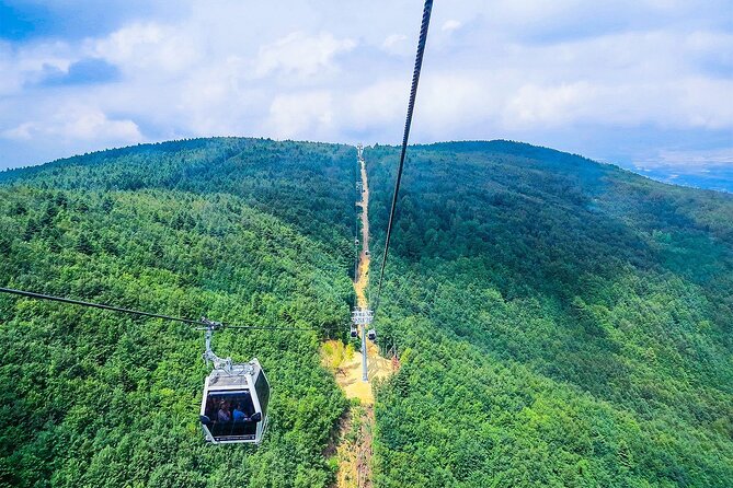 Bursa Day Trip from Istanbul with Uludag Cable Car Experience - Marmara Sea to Bursa: the ferry approach and the views from Yalova to Gemlik