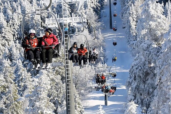 Bursa Day Trip from Istanbul with Uludag Cable Car Experience - Uludag National Park: the 600-year-old plane tree, lunch break, and mountain time