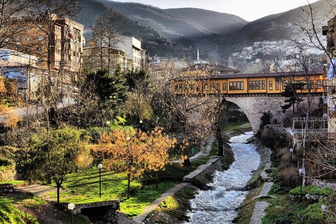 Bursa Full-Day Tour From Istanbul With Cable Car - Bursa City Highlights: Green Mosque and That Timeless Plane Tree Moment