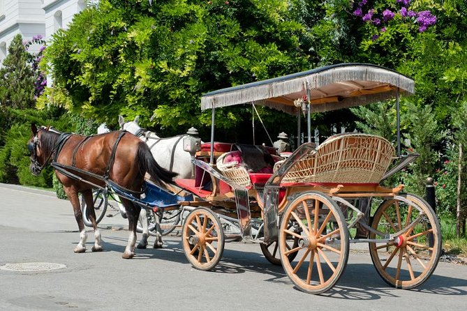 Buyukada Princes’ Island Guided Day Tour with lunch from Istanbul - From Taksim to the port: what the 8-hour day really feels like
