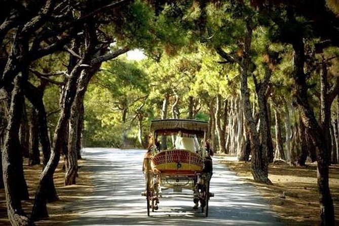 Buyukada Princes’ Island Guided Day Tour with lunch from Istanbul - Island history you’ll actually remember: exile stories and Byzantine monasteries
