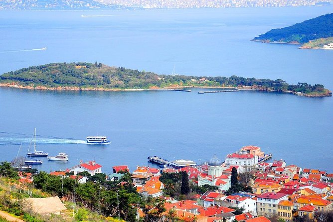 Buyukada Princes’ Island Guided Day Tour with lunch from Istanbul - Lunch on the island: seafood value and how to avoid hunger stress