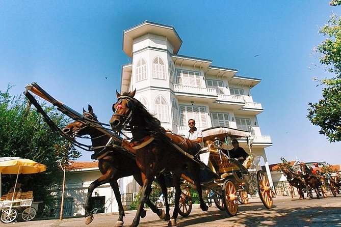 Buyukada Princes’ Island Guided Day Tour with lunch from Istanbul - Price and value: is $84.21 a good deal for Büyükada?