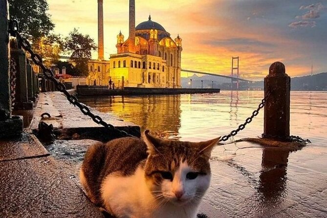 Circle Istanbul (Extraordinary Istanbul) - Timing, Walking, and Food Portions So You Don’t Hit a Wall