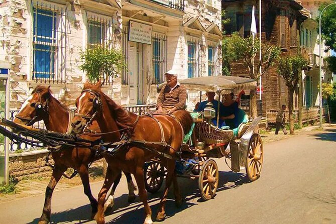 Cruise to the Princes' Islands - Who should book this Princes’ Islands cruise to Büyükada