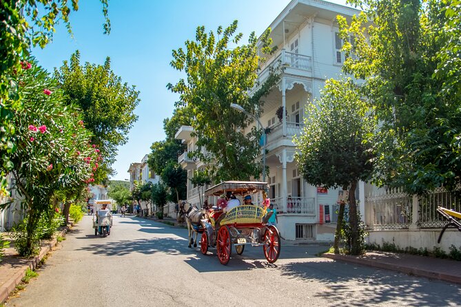 Cruise to the Princes' Islands - Your guided walking tour: wooden houses and context you can use