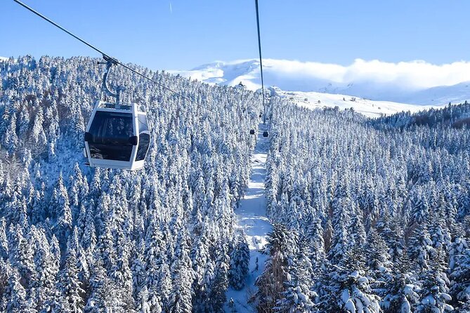Daily Bursa Tour with Cable Car - Group Tour Basis - Yalova rest stop and the Inkaya Plane Tree stop