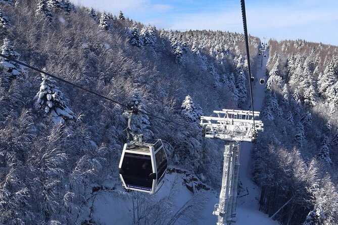 Daily Bursa Uludag Mountain & Cable Car Tour with Lunch from Istanbul - Uludag National Park and the One-Way Cable Car Ride Down