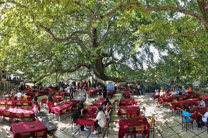 Daily Bursa Uludag Mountain & Cable Car Tour with Lunch from Istanbul - Lunch in the Mountains: Included, Simple, and Timed