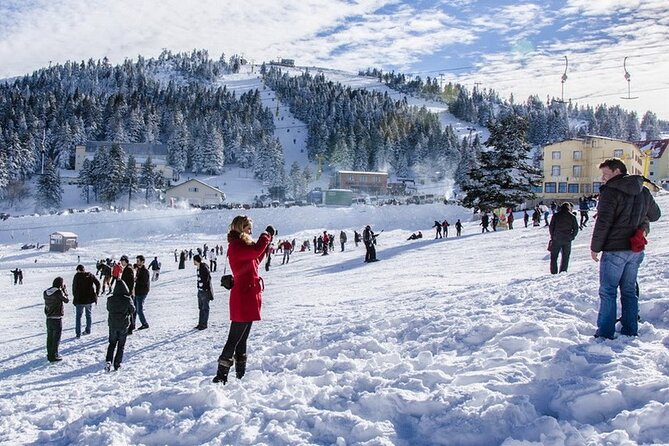 Daily Bursa Uludag Mountain & Cable Car Tour with Lunch from Istanbul - Price and Value: What $50.57 Gets You, and What It Does Not