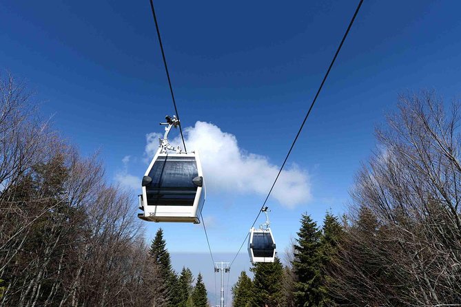 Daily Green Bursa Tour From Istanbul - Mt Uludag and Uludag National Park: The Main Event