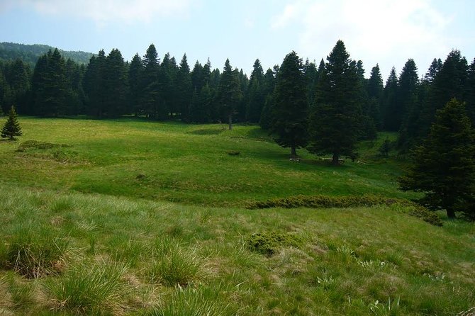 Daily Green Bursa Tour From Istanbul - Guide Language: Arabic Speaking With Variable Explanation