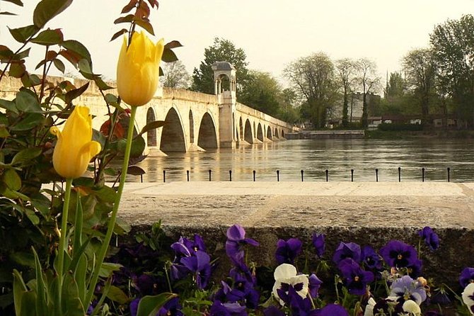 Edirne Day Trip from Istanbul - Selimiye Mosque: Mimar Sinan’s old-age masterpiece in Edirne