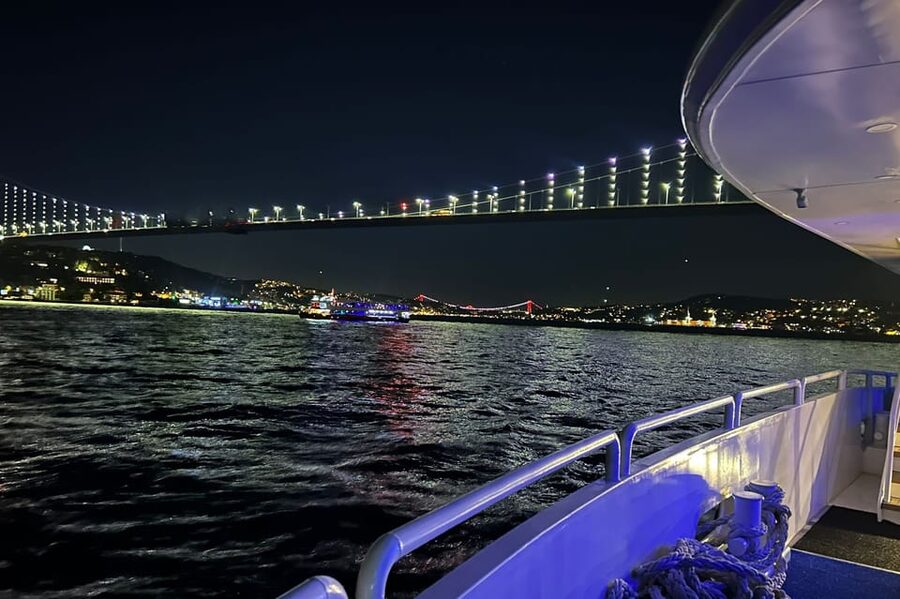 From Istanbul: Bosphorus Dinner Cruise Tavern & World Show - Who This Bosphorus Dinner Cruise Fits Best