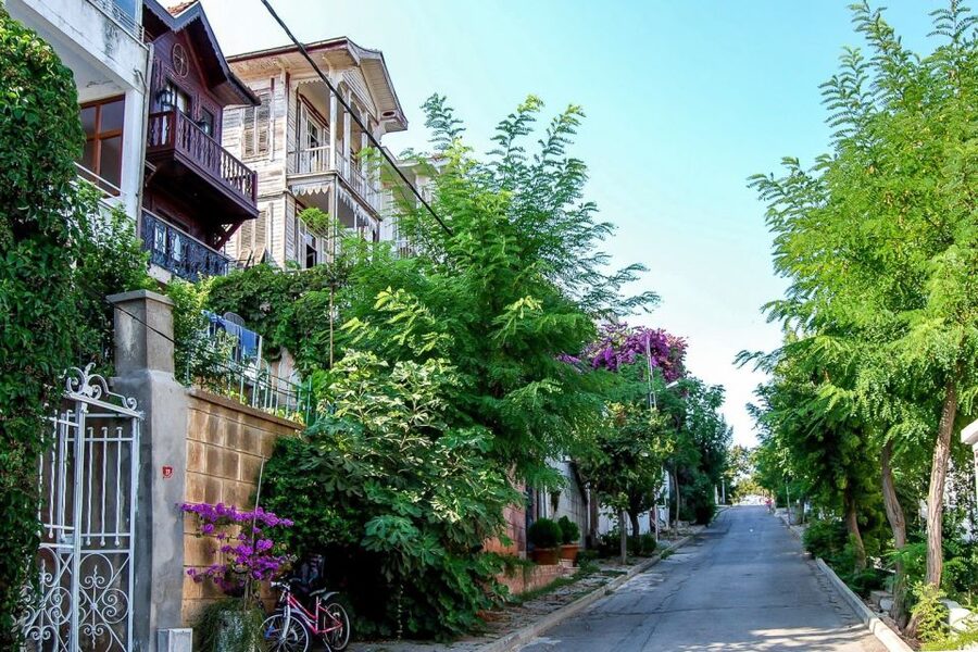 From Istanbul: Full-Day Princes Island Tour with Lunch - Key things I found especially useful
