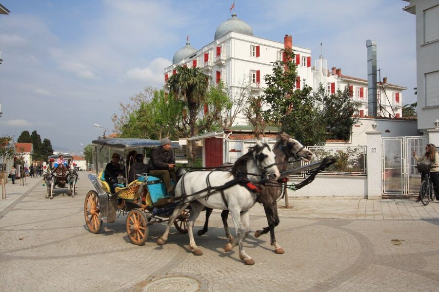 From Istanbul: Full-Day Princes Island Tour with Lunch - Kınalıada: the quick stop where photos and easy walks win