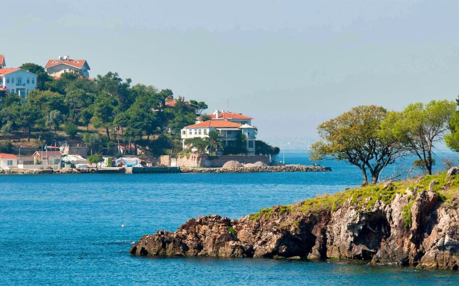 From Istanbul: Full-Day Princes Island Tour with Lunch - When weather and season change the day