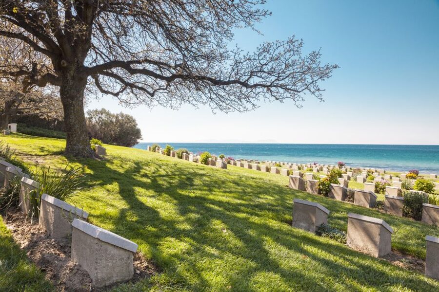 From Istanbul: Gallipoli and Anzac Full-Day Tour - Price and value: $159 for a long day with transfers, entry fees, and a real guide