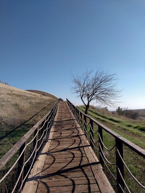 From Istanbul: Gobeklitepe Daily Tour - Who Should Book This Tour, and Who Might Prefer Something Easier