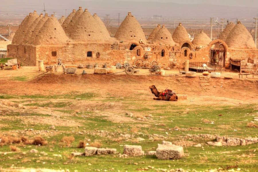 From Istanbul: Gobeklitepe Day Tour - What to Bring and What to Watch For Before You Leave Istanbul