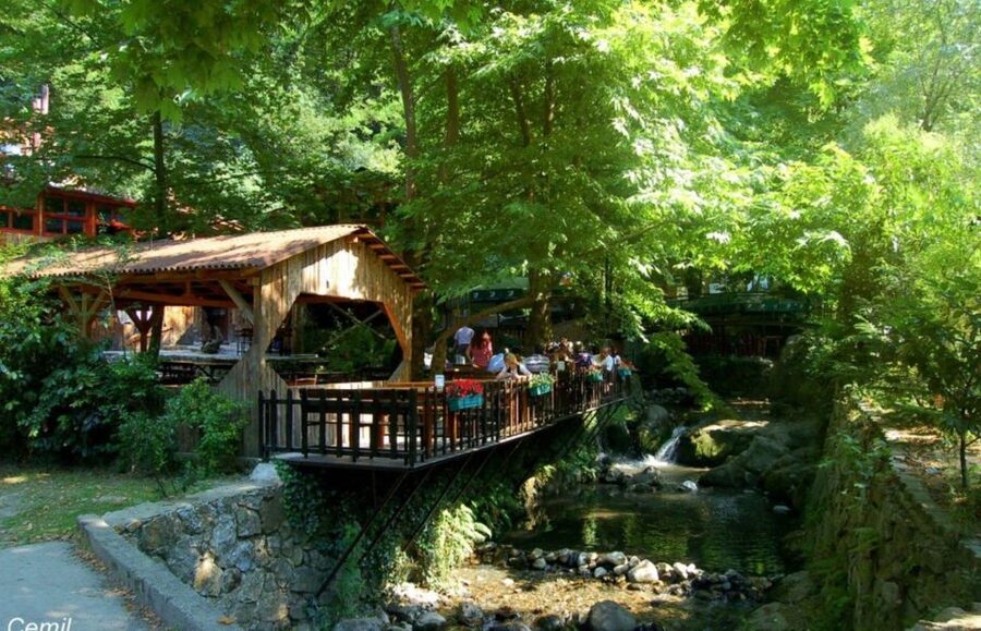 From Istanbul: Guided Day Trip to Sapanca and Masukiye - Key Things to Know Before You Go