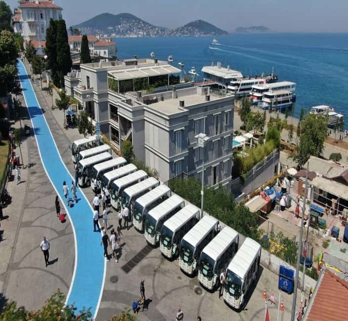 From Istanbul: Princes Island Tour with 2 Islands - Arriving at Büyükada: mansions, sea air, and walking-friendly streets