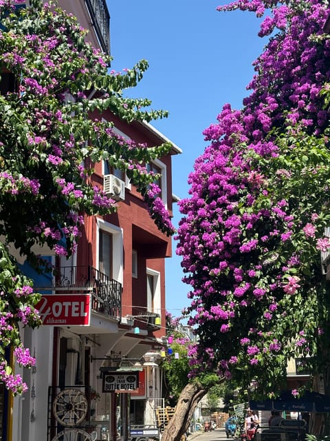 From Istanbul: Princess Islands Guided Tour - How the guide improves your day, not just your photos