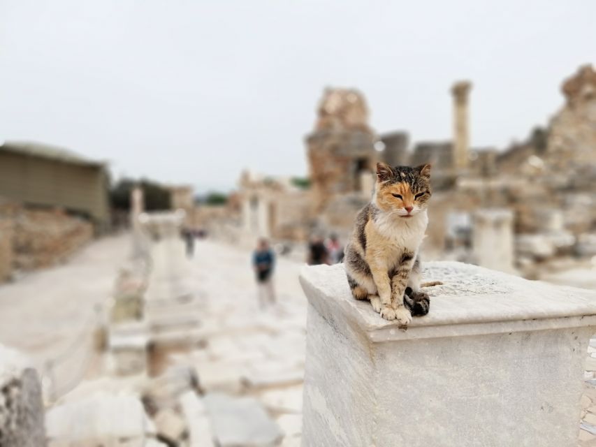 From Istanbul: Private Guided Day Trip to Ephesus with Lunch - Why fly from Istanbul to Ephesus instead of driving
