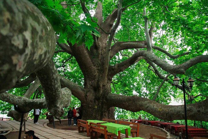 Full Day Bursa Tour from Istanbul(cable car, Lunch & transfer) - Pickup, Transfers, and What a 14-Hour Day Really Means