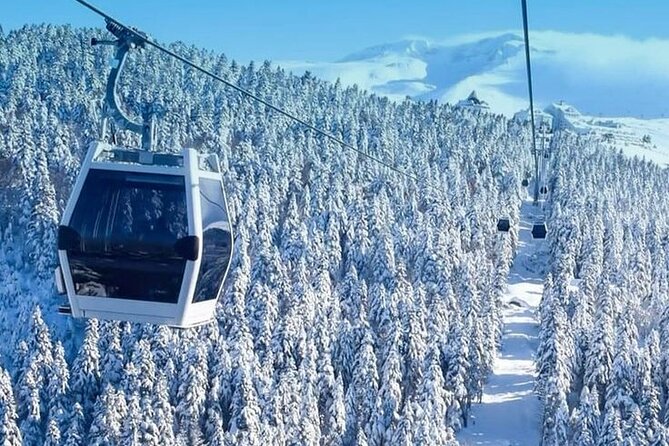 Full Day Bursa Tour from Istanbul(cable car, Lunch & transfer) - Stop 1 in Bursa: Nature Park Hour Plus Optional ATV Safari