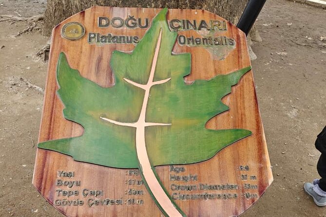 Full Day Guided Tour to Bursa and Uludag - Istanbul to Bursa, with a ferry break across Izmit Bay