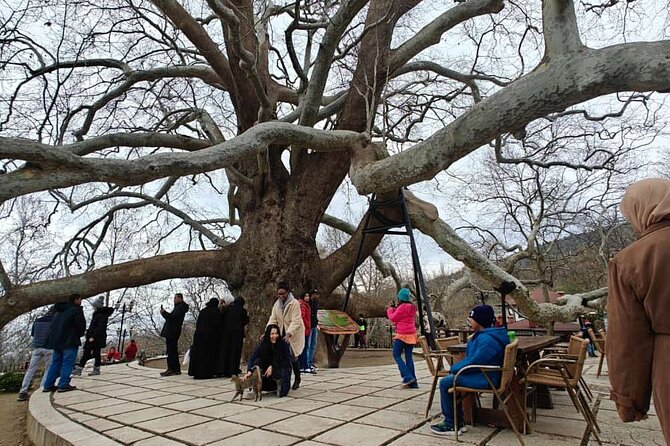 Full Day Guided Tour to Bursa and Uludag - Turkish delight, honey, and the İnkaya Historical Plane Tree