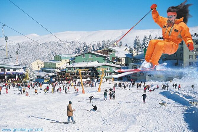 Full Day Guided Tour to Bursa with Lunch and Cable Car - Bursa city center, the 610-year-old Çınar tree, and quick orientation