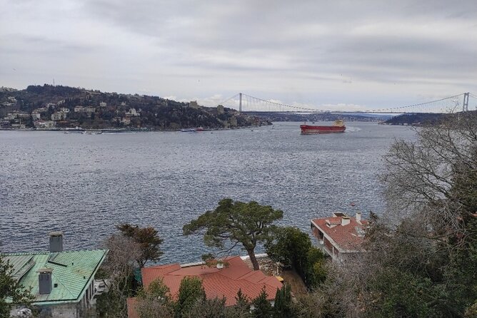 Full Day Istanbul Bosphorus Cruise and Dolmabahce Palace Tour with Private Guide - Dolmabahçe Palace interiors, Baroque, rococo, and the harem