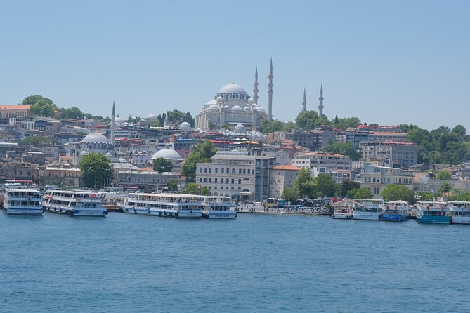 Full Day Istanbul Bosphorus Cruise and Dolmabahce Palace Tour with Private Guide - Price and value, what you really get for $250 per group