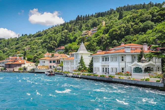 Full-Day Princes Island Tour with Lunch from Istanbul - The Unkapani Port Transfer and Air-Conditioned Ride