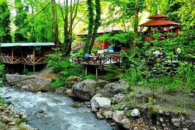 Full Day Tour in Sapanca & Masukiye from Istanbul - Pickup, meeting point, and the reality of a 10-hour day